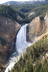 Yellowstone National Park - Upper Falls