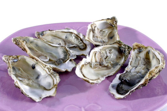 Plat d'huitre