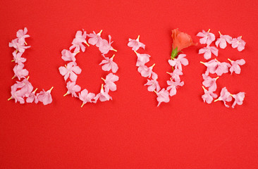 Word Love Made of Flowers 2