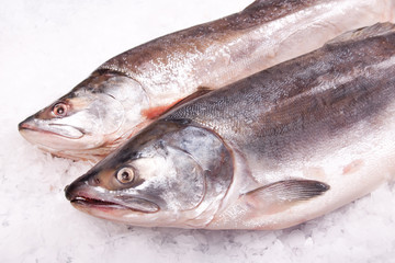 Fresh raw fish
