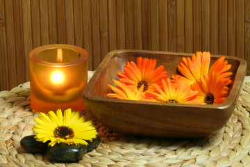 Marigold in bowl