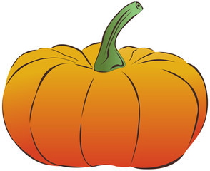 Vector pumpkin
