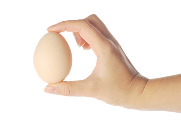 woman hand holding egg