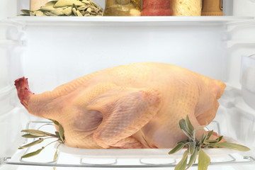 Raw turkey
