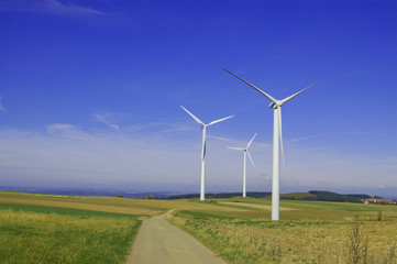 nature wind