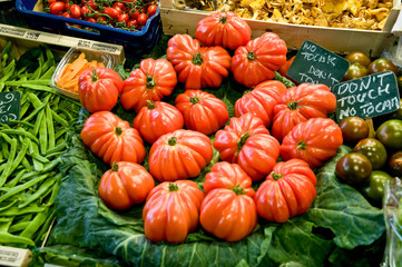 Tomaten