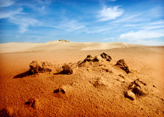 desert sahara