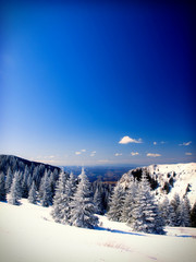 Winter landscape - 17779786