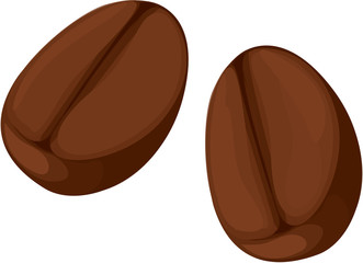 coffee bean