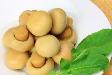 canned food of mushroom