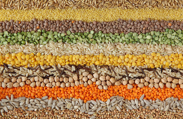 Various seeds and grains close up