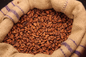 fèves de cacao