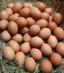 Fresh eggs