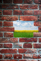 Abstract wall and field inside