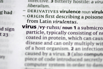 Virus (Word) - obrazy, fototapety, plakaty