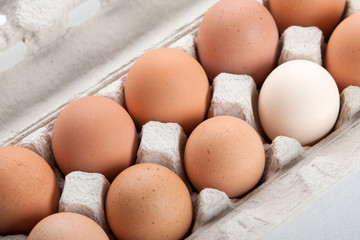 the hen's eggs in pack