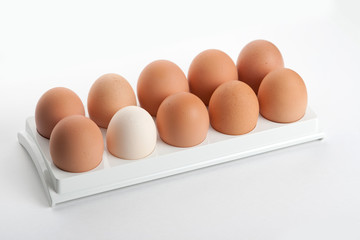 the hen's eggs in egg holder
