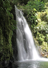 Fototapeta na wymiar Proszę Salto (Sao Miguel, Azory)