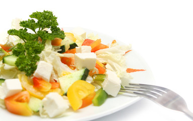 Plate of greek salad