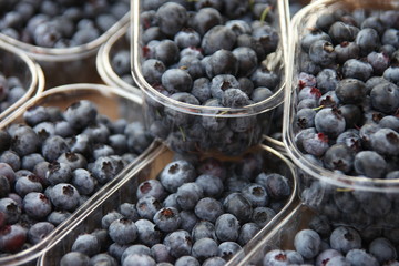 Blaubeeren