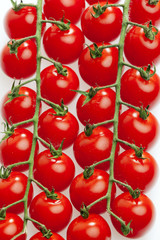 tomatoes