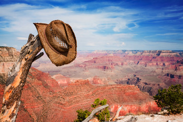 Hat hung on a branch near the Grand Canyon