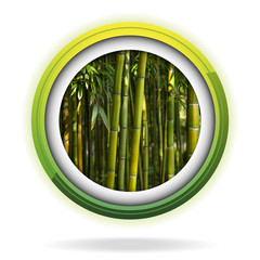 Picto bambous