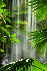 Fototapeta na wymiar Waterfall and green leaves