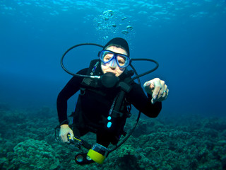 Naklejka na ściany i meble Female Scuba Diver swimming over a Reef in Kona Hawaii