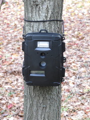 Deer hunting trail camera