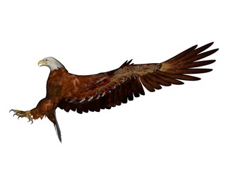Eagle