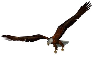 Eagle