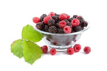 Berries: raspberries and blackberries