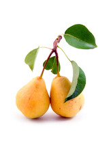 Fresh pears