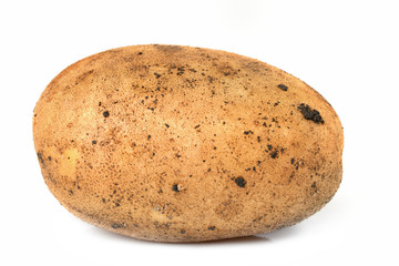 Potato