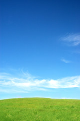 Fototapeta na wymiar Błękitne niebo i łąka