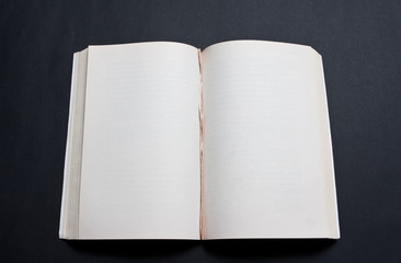 blank spread of book with pulled out pages