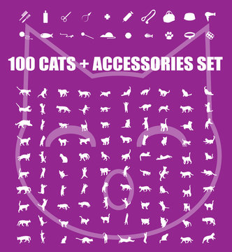 Great 100 cats and accessories icons set, vector pet emblem, cat