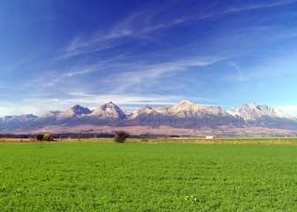 A view of The Tatra Mountains & field in summer, Slovakia.
