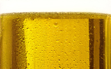 Glass of beer close-up with bubbles