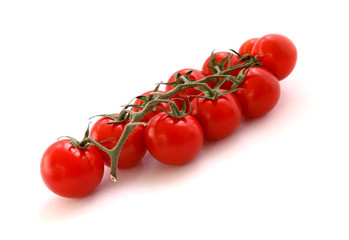 Branch of tomatoes