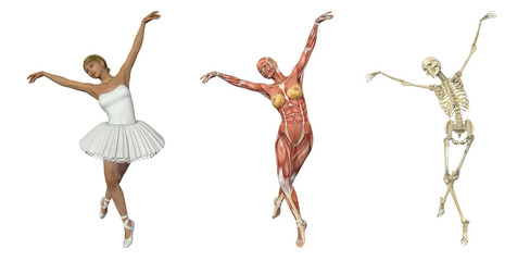 Anatomical Overlays - Ballet
