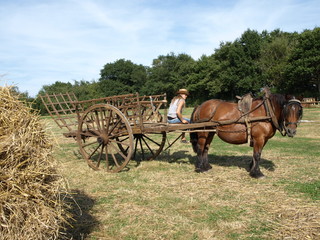 Jeune femme &agrave; la campagne