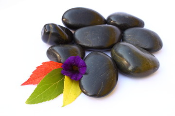 Bunte Blätter, schwarze Steine