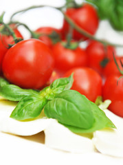 Tomaten