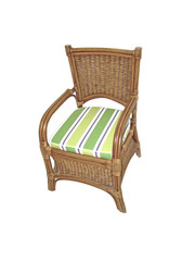 Rattan Chair with Cushion