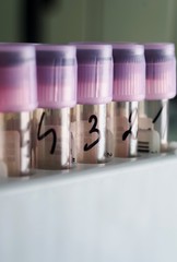 violet test tubes with numbers