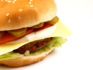 hamburger on white background
