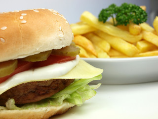 Cheesburger with french fries