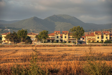 Naklejka premium Tuscan Countryside, July 2007